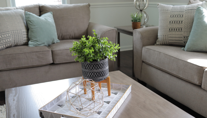 Tại sao nên ưu tiên trang trí phòng khách, bàn làm việc bằng hoa?