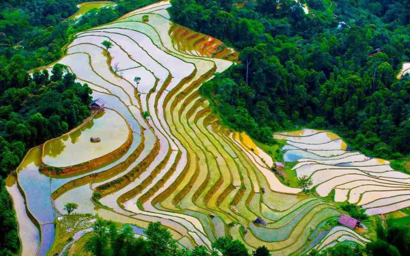 du lịch mùa hạ