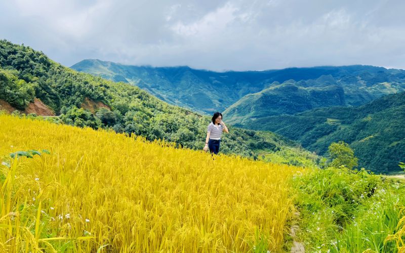 du lịch mùa thu