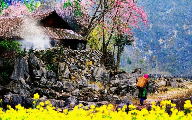 du lịch mùa xuân