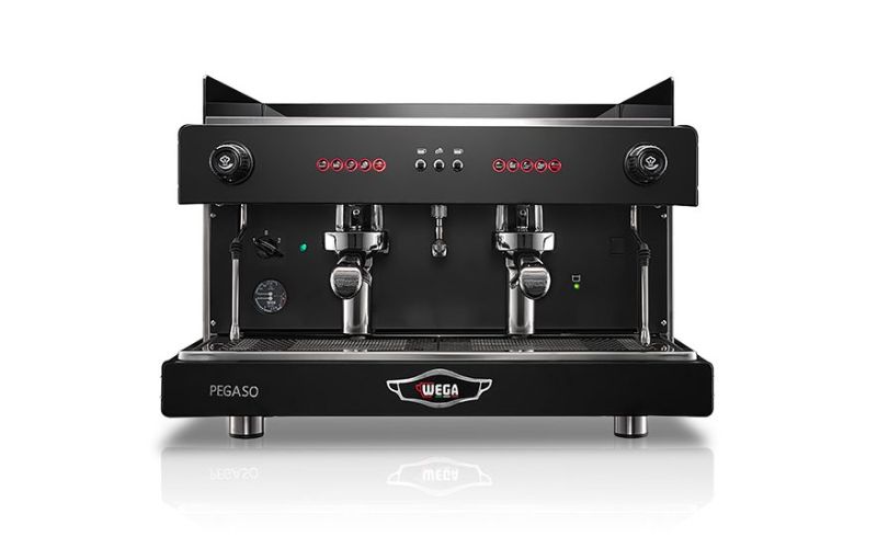 Wega Pegaso A1 Group