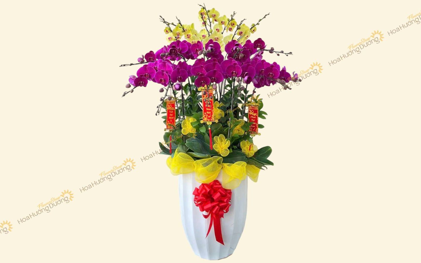 Hoa Lan Hồ Điệp chúc mừng